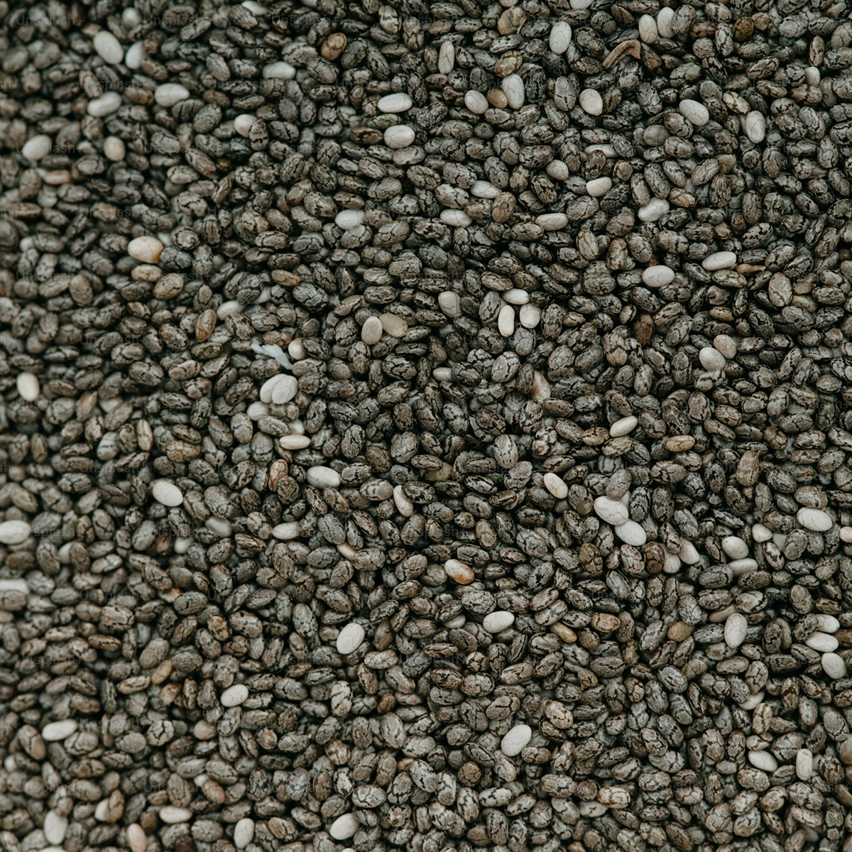 Chia Seed
