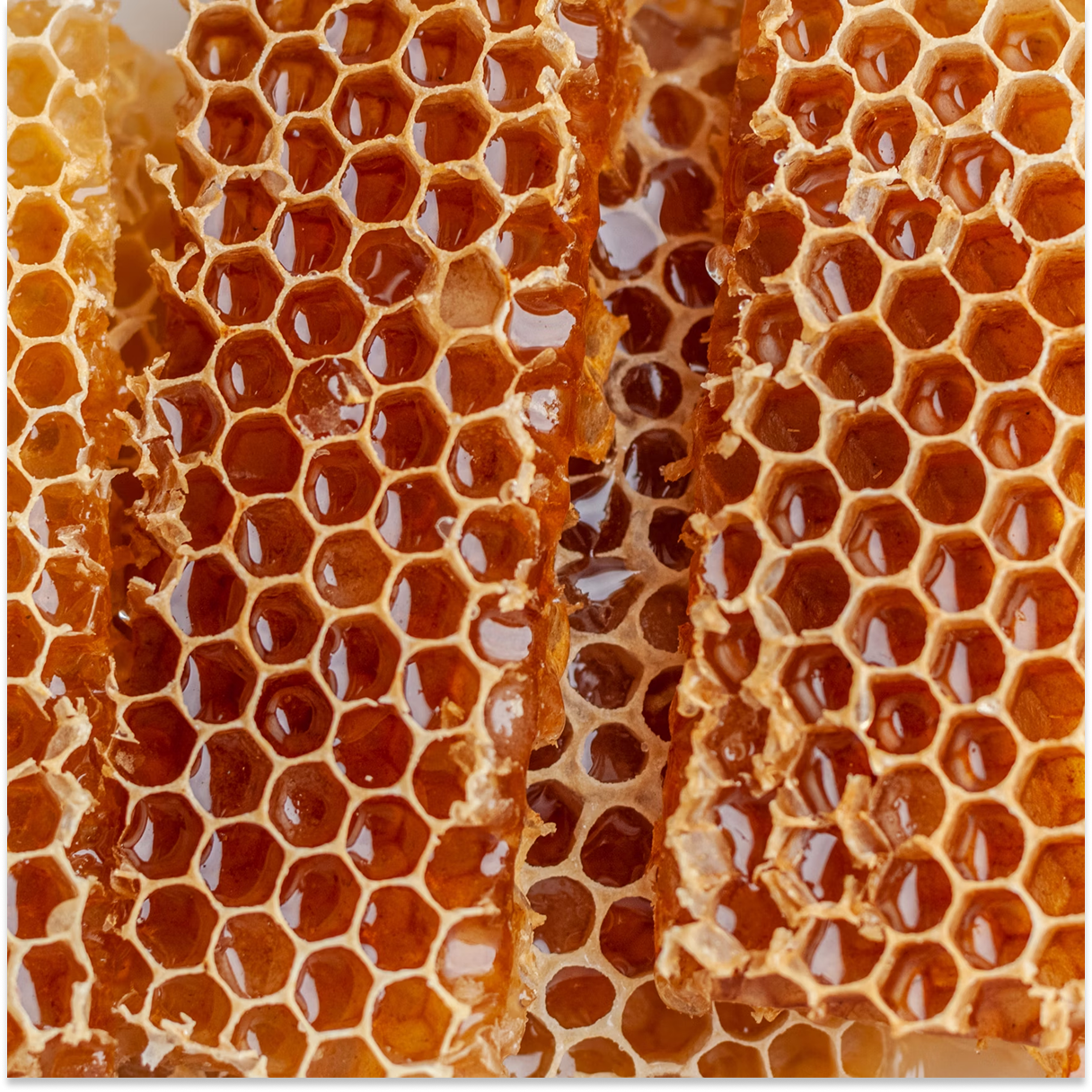 Honey