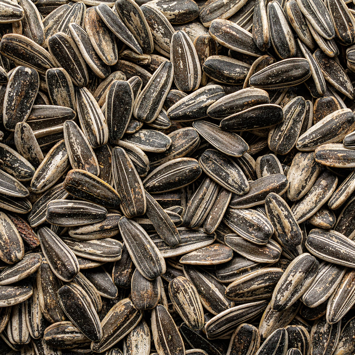 Sunflower Seeds
