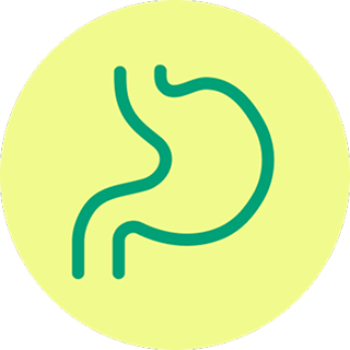 Improves gut microbiome